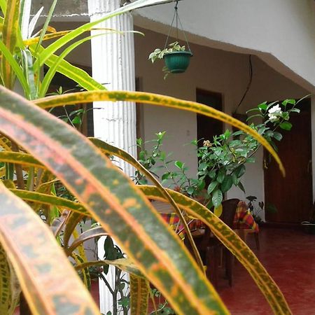 Winstar Homestay Sigiriya Exteriér fotografie
