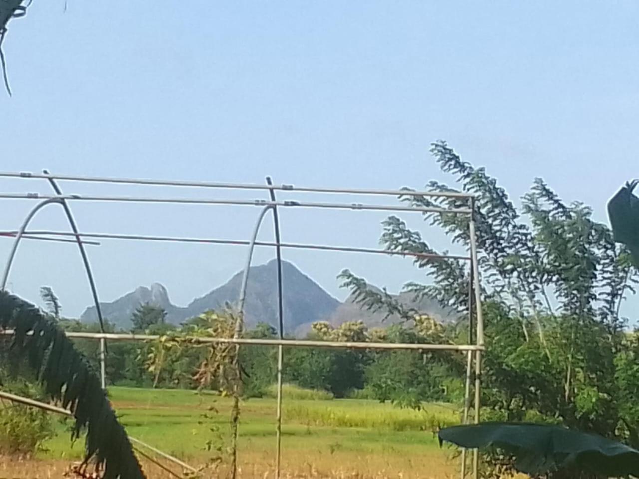 Winstar Homestay Sigiriya Exteriér fotografie