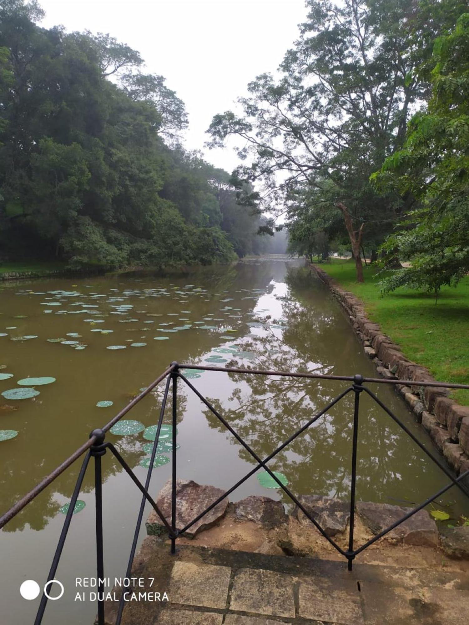 Winstar Homestay Sigiriya Exteriér fotografie