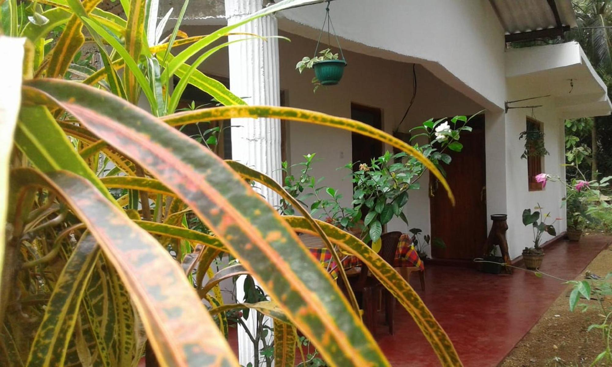 Winstar Homestay Sigiriya Exteriér fotografie